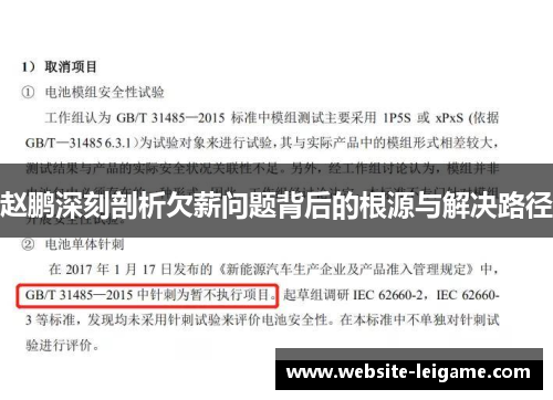 赵鹏深刻剖析欠薪问题背后的根源与解决路径
