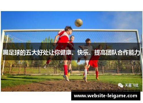 踢足球的五大好处让你健康、快乐、提高团队合作能力