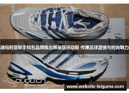 迪玛利亚联手知名品牌推出限量版运动鞋 传递足球激情与时尚魅力