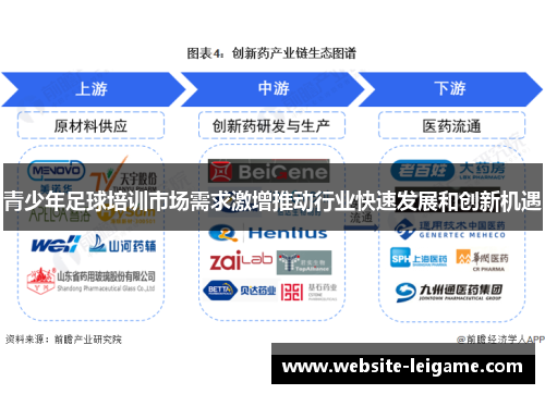 青少年足球培训市场需求激增推动行业快速发展和创新机遇 青少年足球培训市场需求激增推动行业快速发展和创新机遇